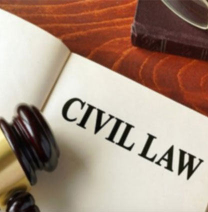 Cyber law service, law firm